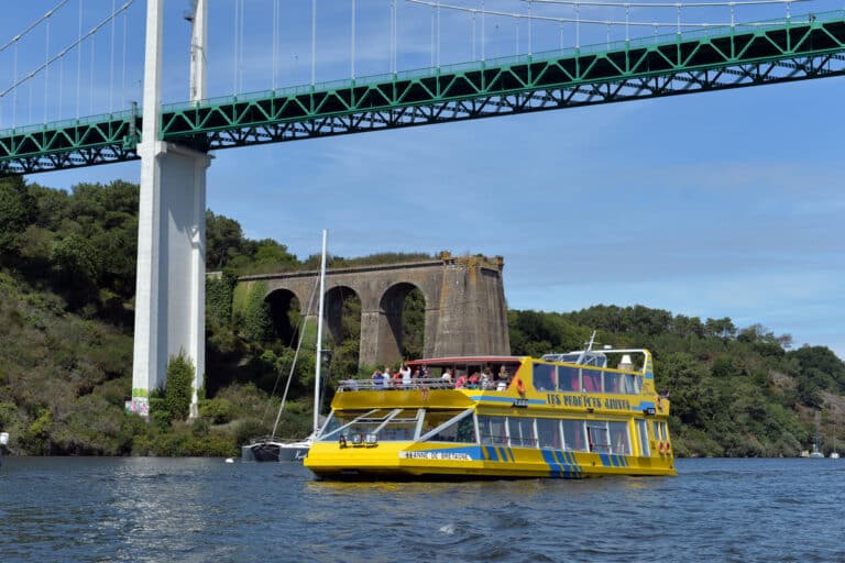 716310_hd_vedette_jaunes__99